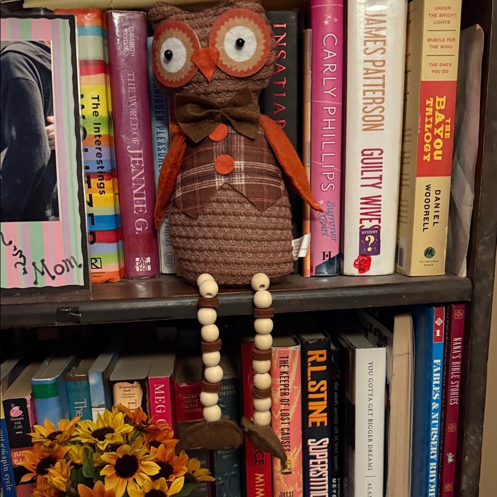 Source Unknown Brown & Orange Plush Owl Shelf Decor